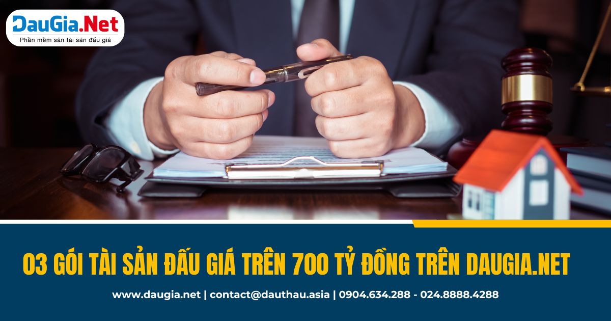 tổng hợp gói tài sản trên daugia net