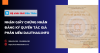 Hệ sinh thái Đấu Thầu nhận chứng nhận bản quyền tác giả cho phần mềm DauThau.info