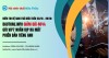 Điểm tin Hệ sinh thái Đấu Thầu 23/10 - 29/10: DauThau.info giảm giá lên đến 40% gói VIP7 nhân dịp ra mắt phiên bản tiếng Anh