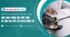 Điểm tin Hệ sinh thái Đấu Thầu 15/04 - 21/04: Hơn 1000 thông báo mời thầu về lĩnh vực Xây lắp được đăng tải