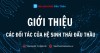 Giới thiệu các đối tác của Hệ sinh thái Đấu Thầu