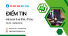 Điểm tin Hệ sinh thái Đấu Thầu 31/03 - 06/04/2025: Nhiều gói thầu được mời thầu trên DauThau.Net
