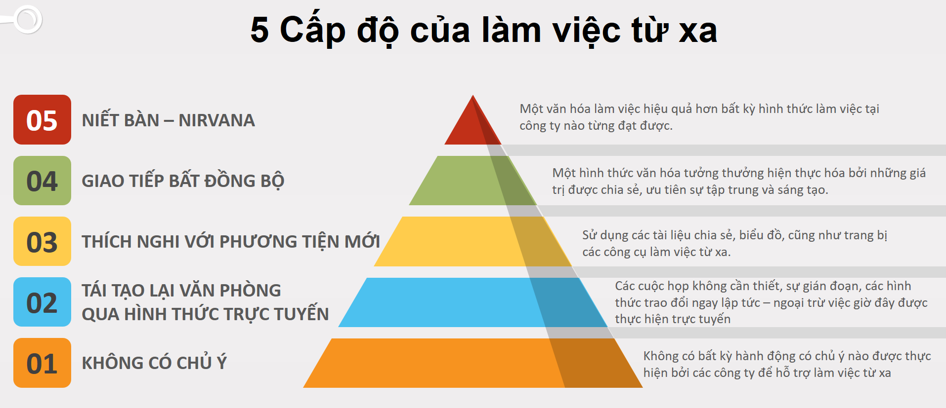 5 cấp độ làm việc từ xa