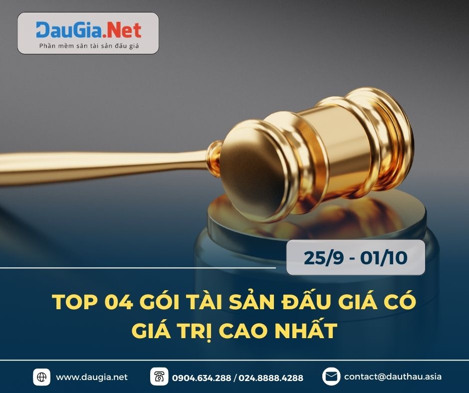 05 gói tài sản đấu giá có giá trị cao nhất (2)