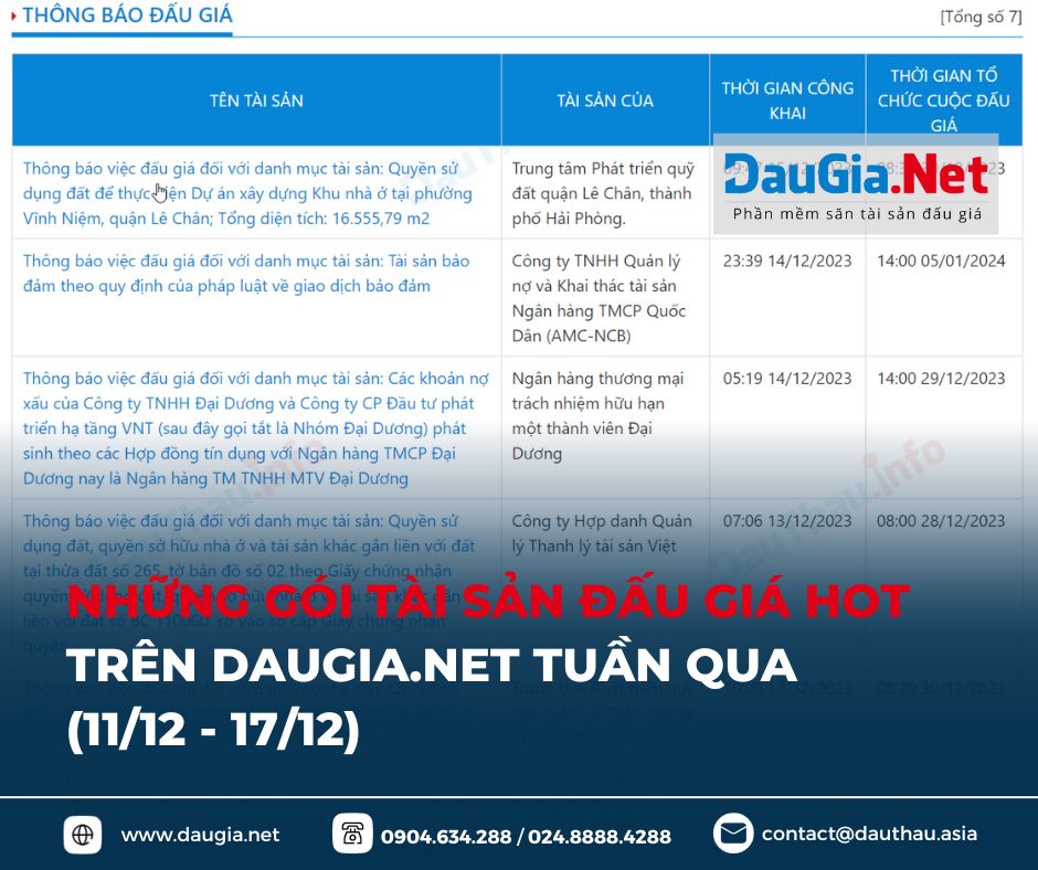 gói tài sản đấu giá