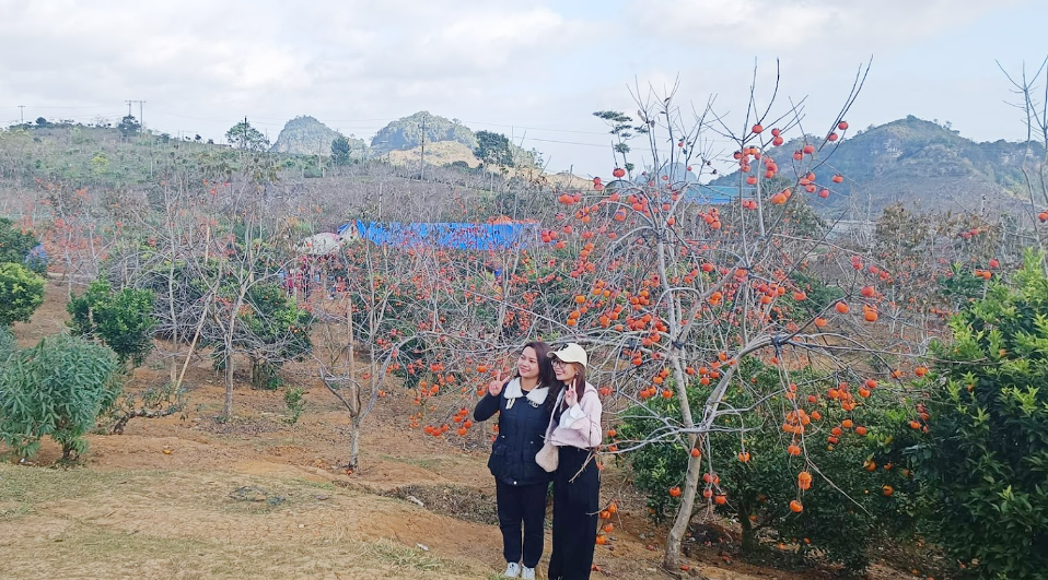 Cùng chill tại vườn hồng 1