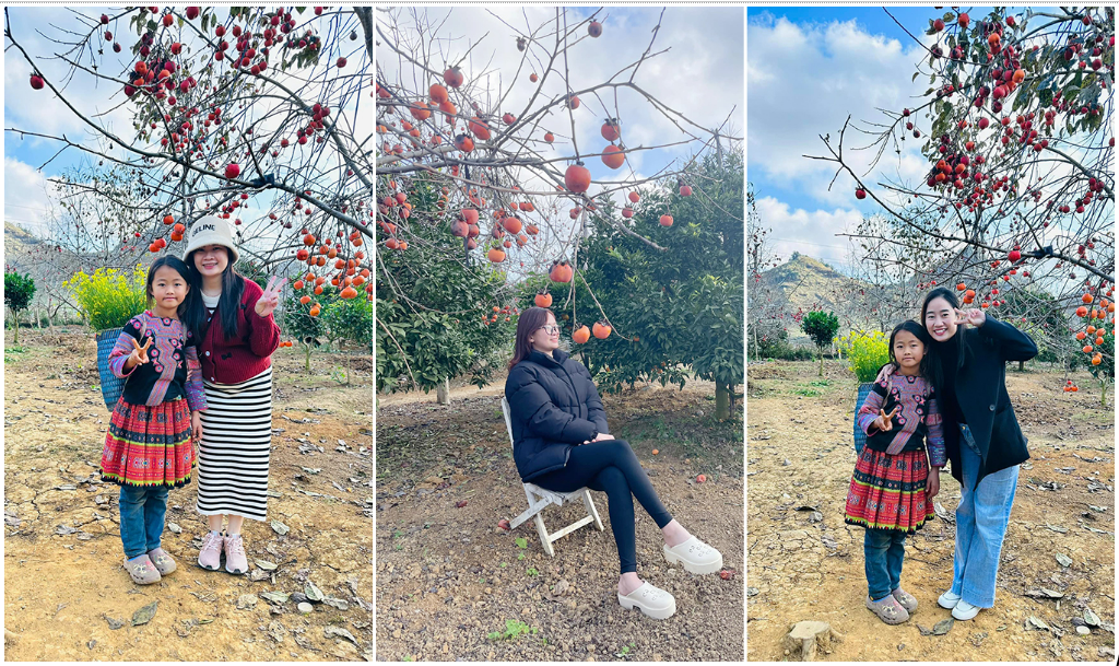 Cùng chill tại vườn hồng