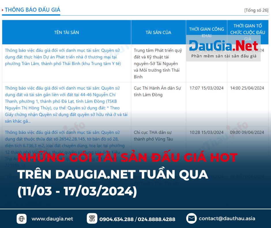 những gói tài sản đấu giá tiêu biểu