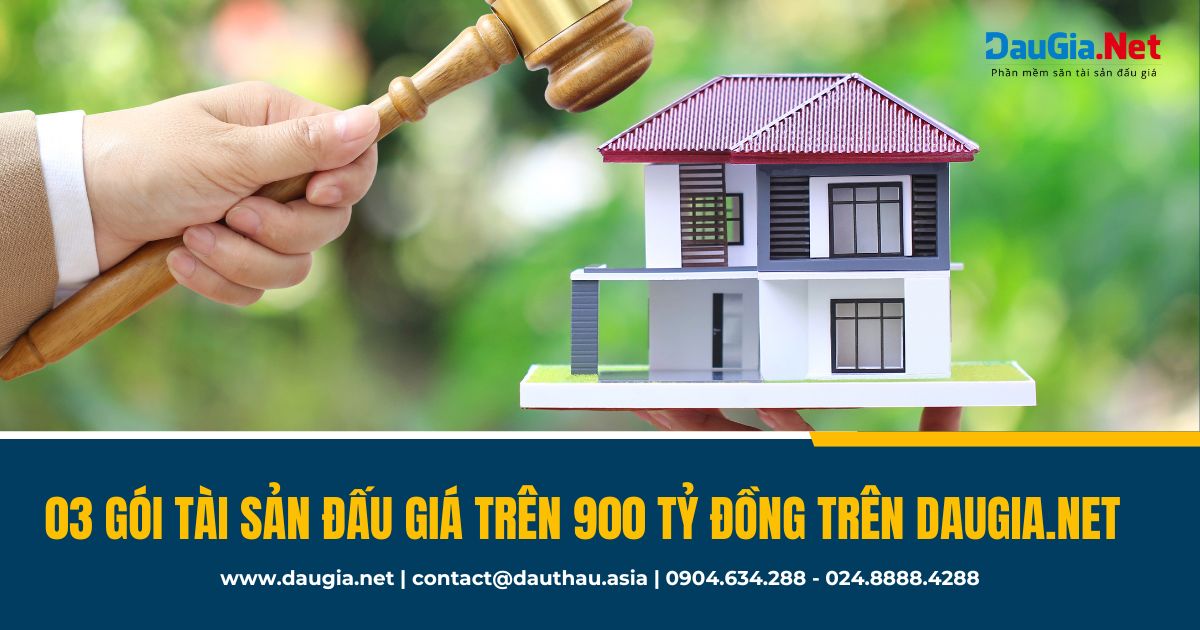 03 gói tài sản đấu giá trên 900 tỷ đồng trên daugia net