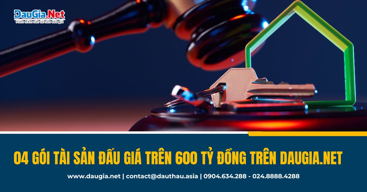 04 gói tài sản đấu giá trên 600 tỷ đồng trên DauGia Net