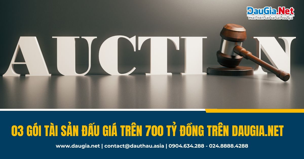 Top 3 gói tài sản đấu giá trên 700 tỷ trên DauGia Net