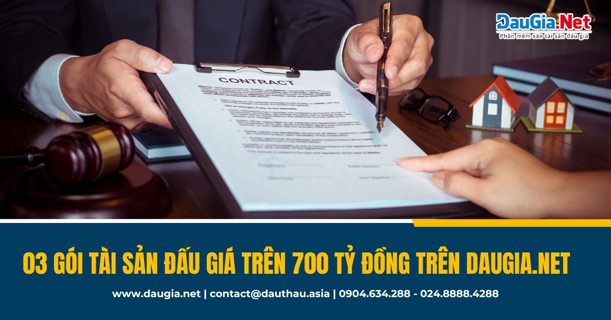 Top 3 gói tài sản đấu giá trên 700 tỷ đồng trên DauGia Net